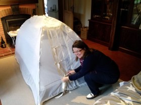 IMG_20191102_133601_1