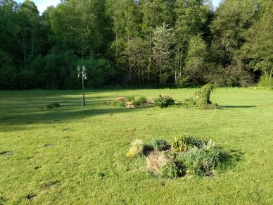 IMG_20200521_080703_1